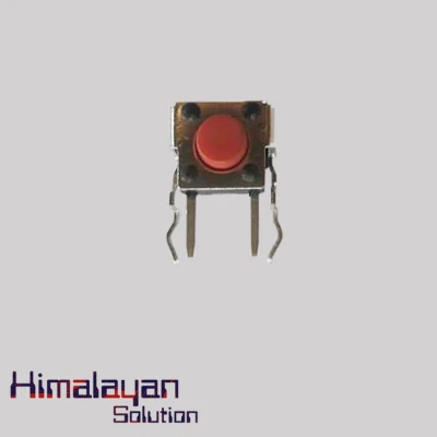 Reset Switch With Lock