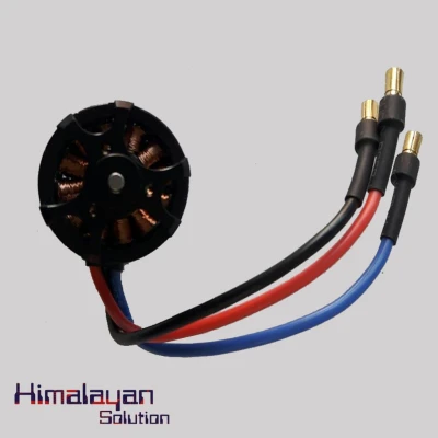 Sunny Sky 980KV  Brushless Motor
