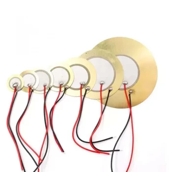 Piezo Buzzer and Vibration Sensor