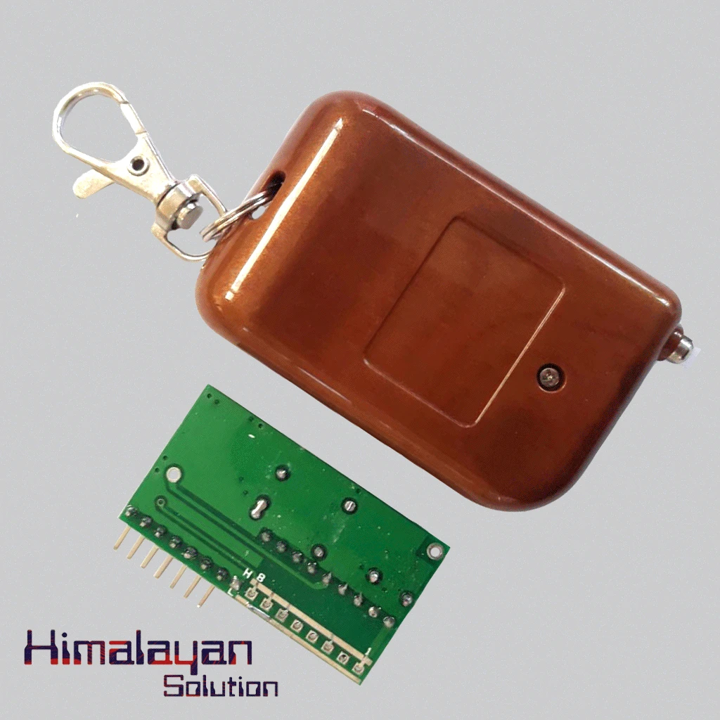 Wireless Remote With Circuit Board