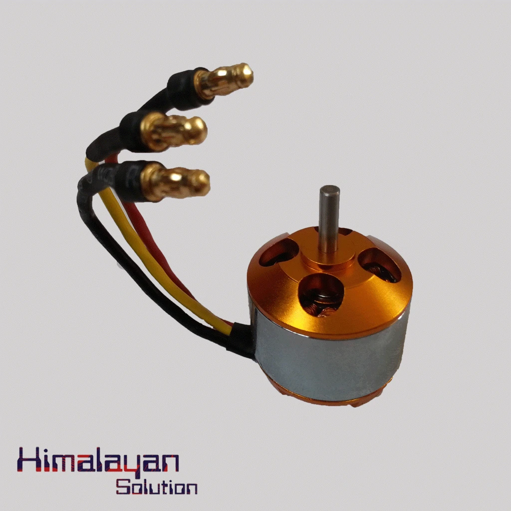 2450 KV Brushless Motor
