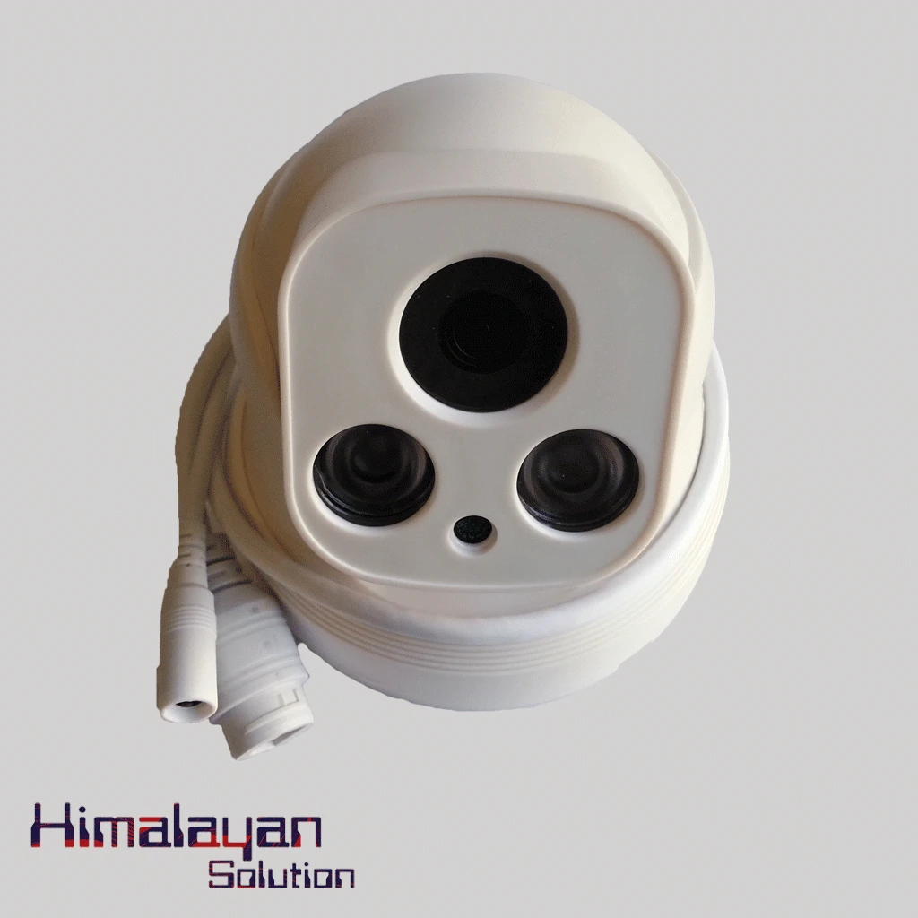 LS-RB100A+POE LOOSAFE Camera
