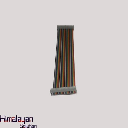 40pin Female To Female Pi Cable