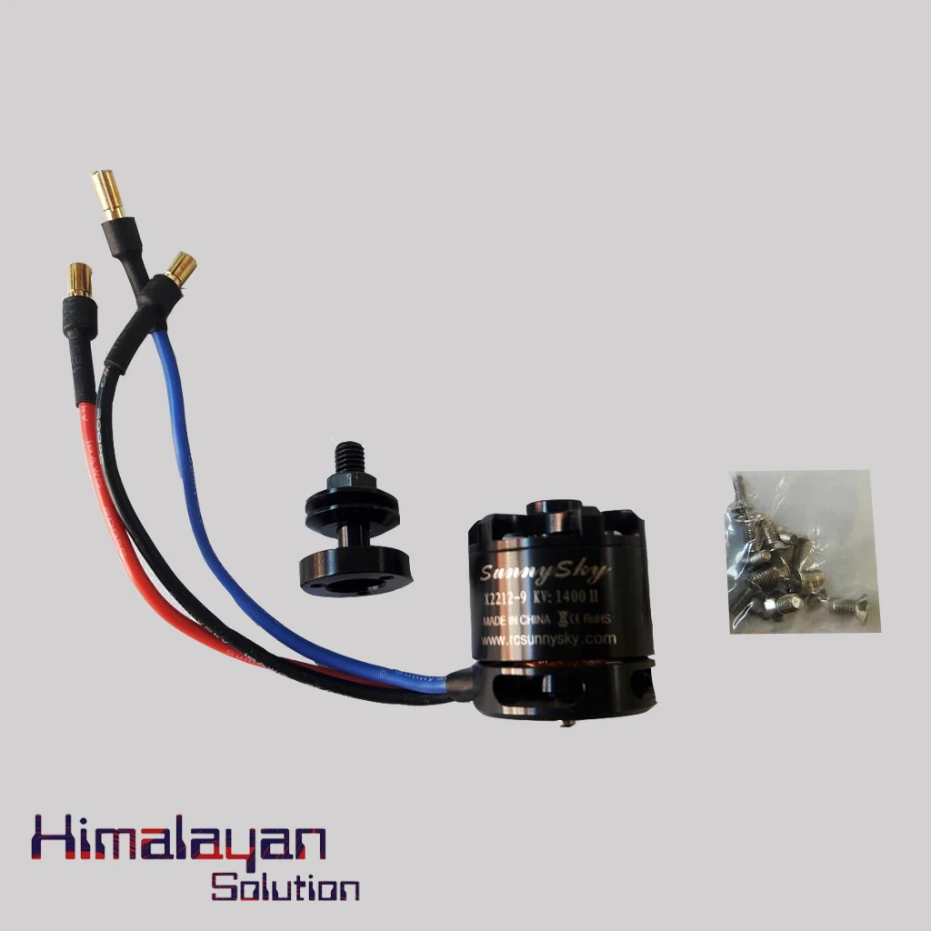 Sunny Sky 980KV Brushless Motor