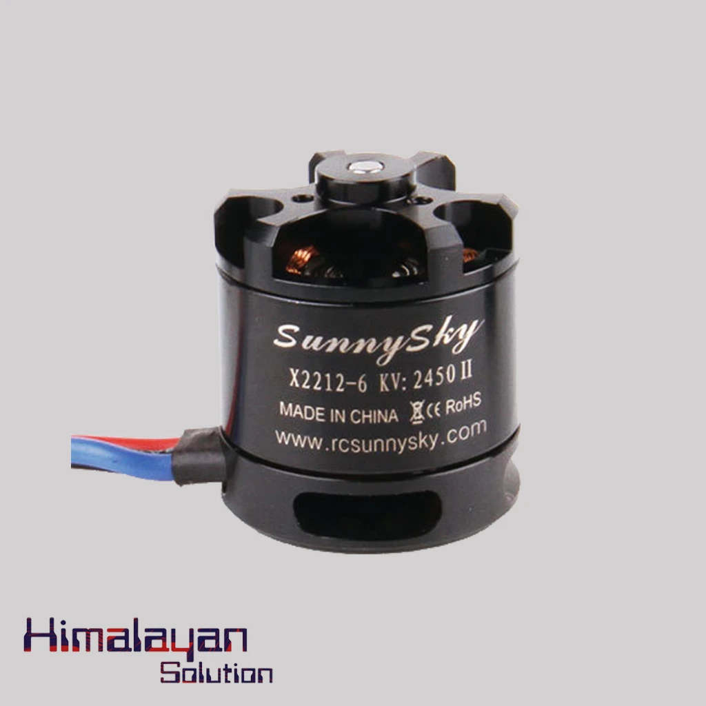 Sunny Sky 2450KV Brushless Motor