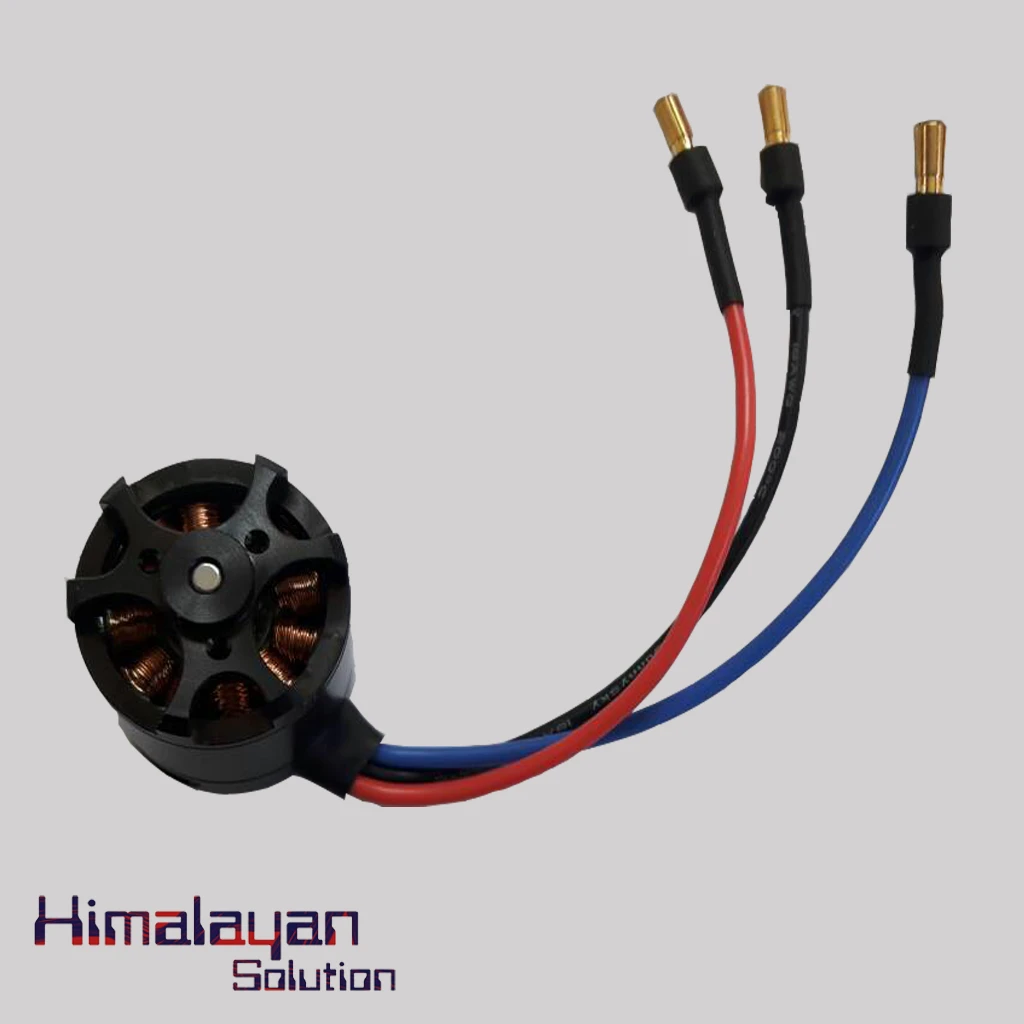 Sunny Sky 2450KV Brushless Motor